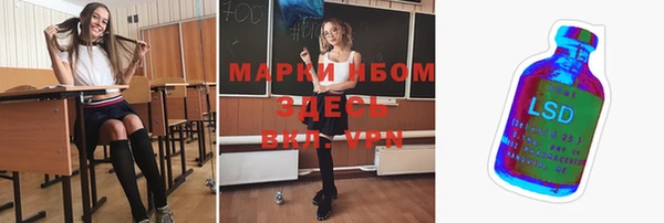 индика Белоозёрский