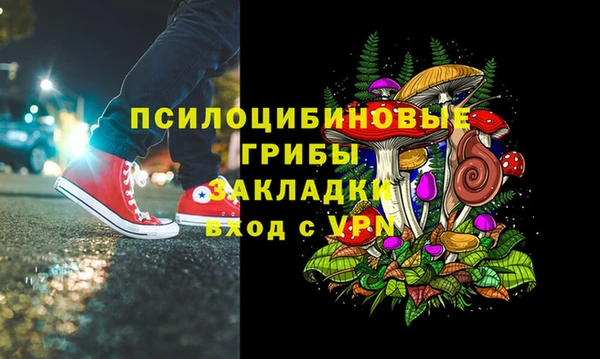 СК Белокуриха