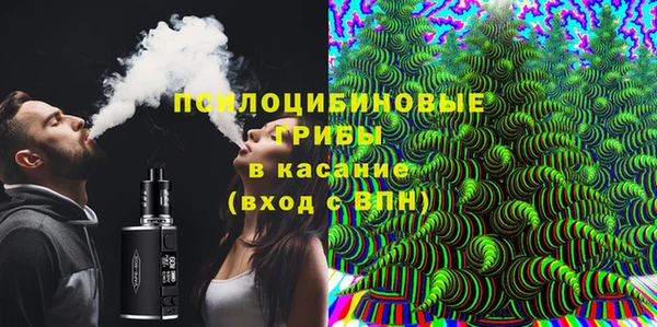 СК Белокуриха