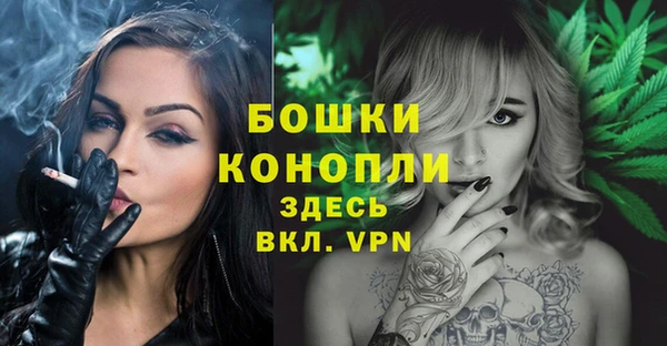 индика Белоозёрский