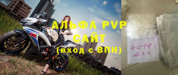 СК Белокуриха