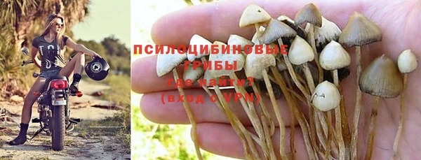 твердый Беломорск