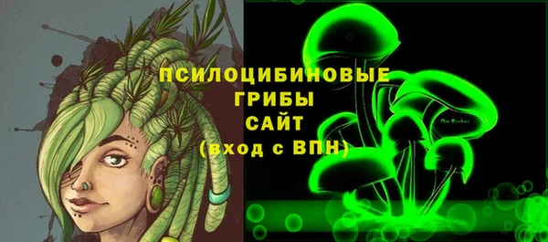 СК Белокуриха
