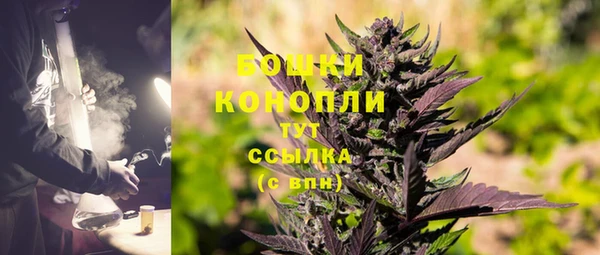 СК Белокуриха