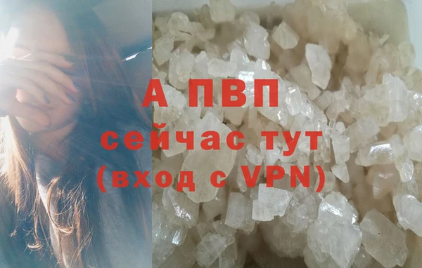 индика Белоозёрский