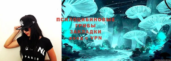 СК Белокуриха