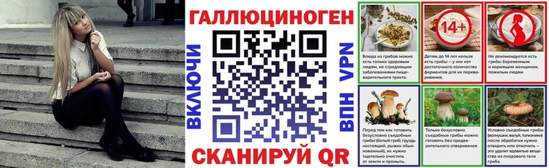 Купить где  Миньяр  Галлюциногенные грибы Cubensis 